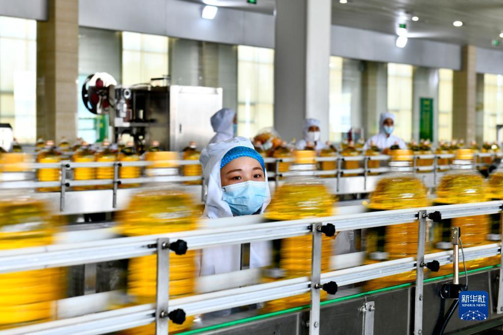 网络版金鲨银鲨试玩
